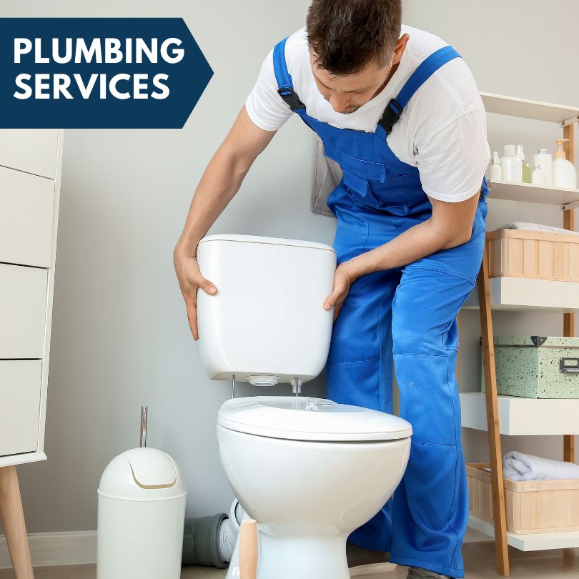 Plumbing Company in Palatine, IL